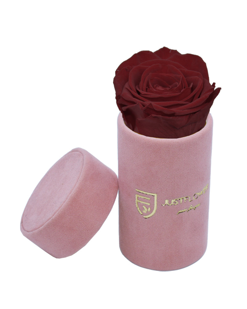 Konservierte Infinity Rose in edler Box. Bestellen Sie Ihre ewige Rose bei JustFlower.ch für ein außergewöhnliches Geschenk.