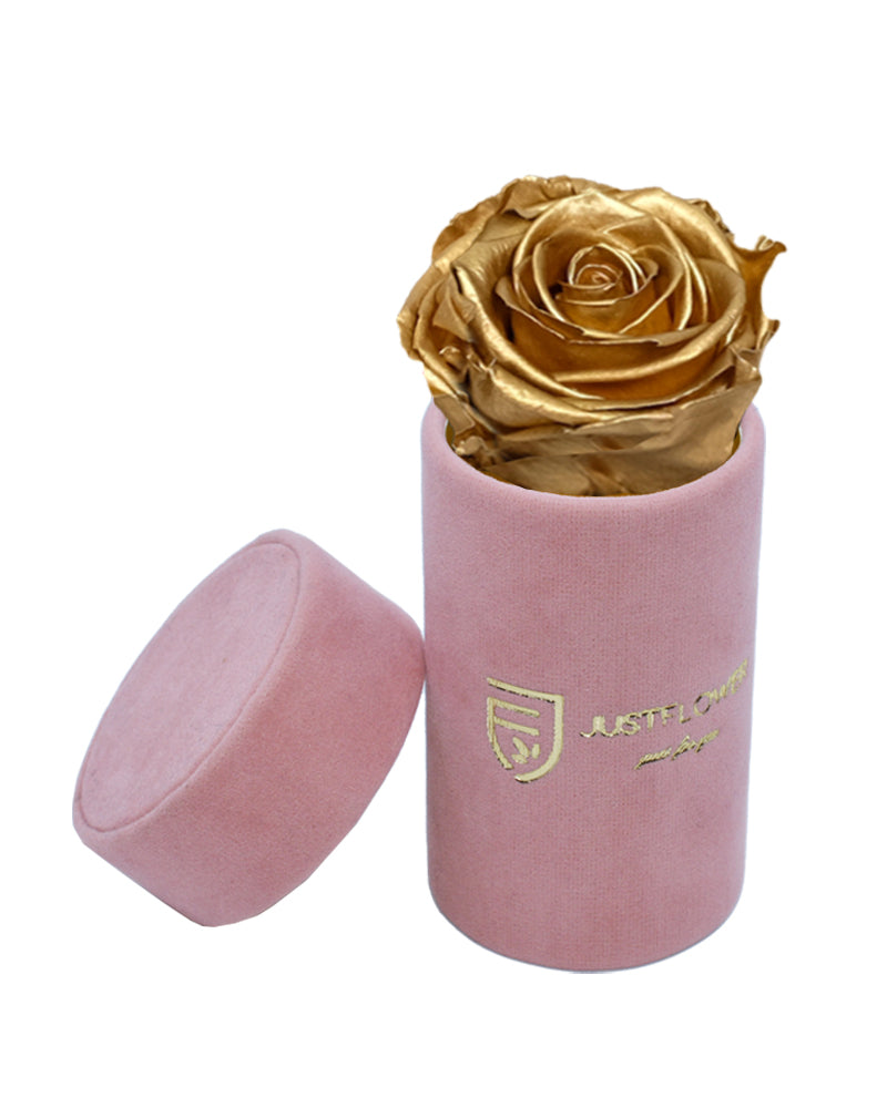 Infinity Rose in stilvoller Box. Bestellen Sie Ihre konservierte Rose bei JustFlower.ch und bereiten Sie eine elegante Überraschung.