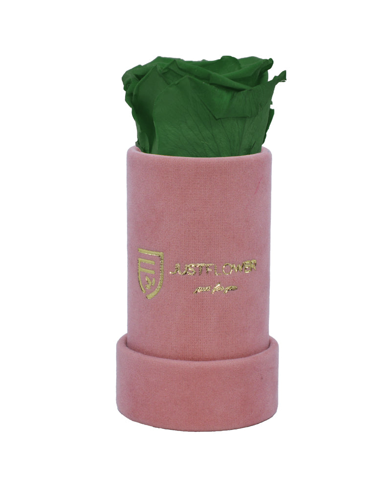 Einzigartige Infinity Rose in einer edlen Box. Bestellen Sie Ihre ewige Rose bei JustFlower.ch und verleihen Sie Ihrem Raum Eleganz.