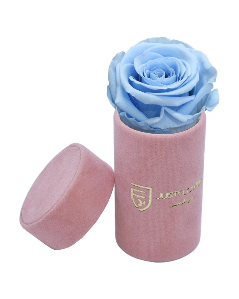Schockierte Infinity Rose in exklusiver Box. Bestellen Sie Ihre ewige Rose bei JustFlower.ch für ein exklusives Erlebnis.