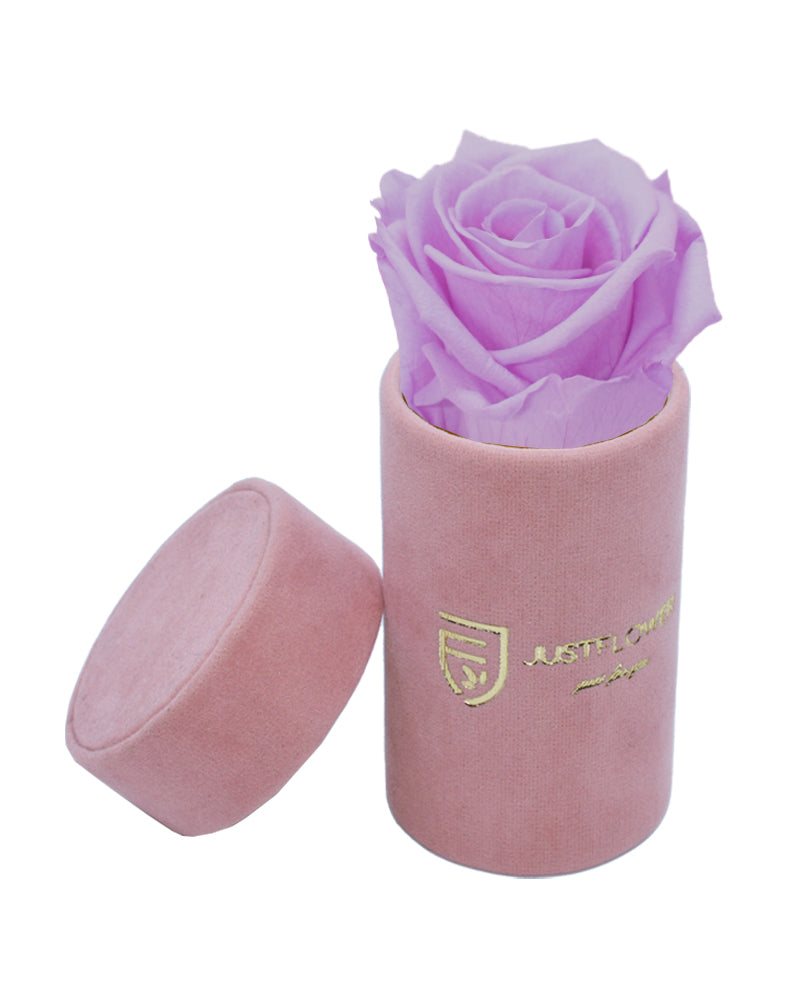 Ewige Infinity Rose in einer stilvollen Box. Bestellen Sie Ihre konservierte Rose bei JustFlower.ch für ein hochwertiges Geschenk.