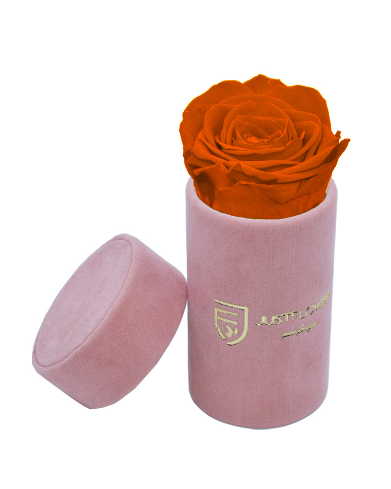 Infinity Rose in einer luxuriösen Box. Bestellen Sie Ihre ewige Rose bei JustFlower.ch für bleibende Eleganz.