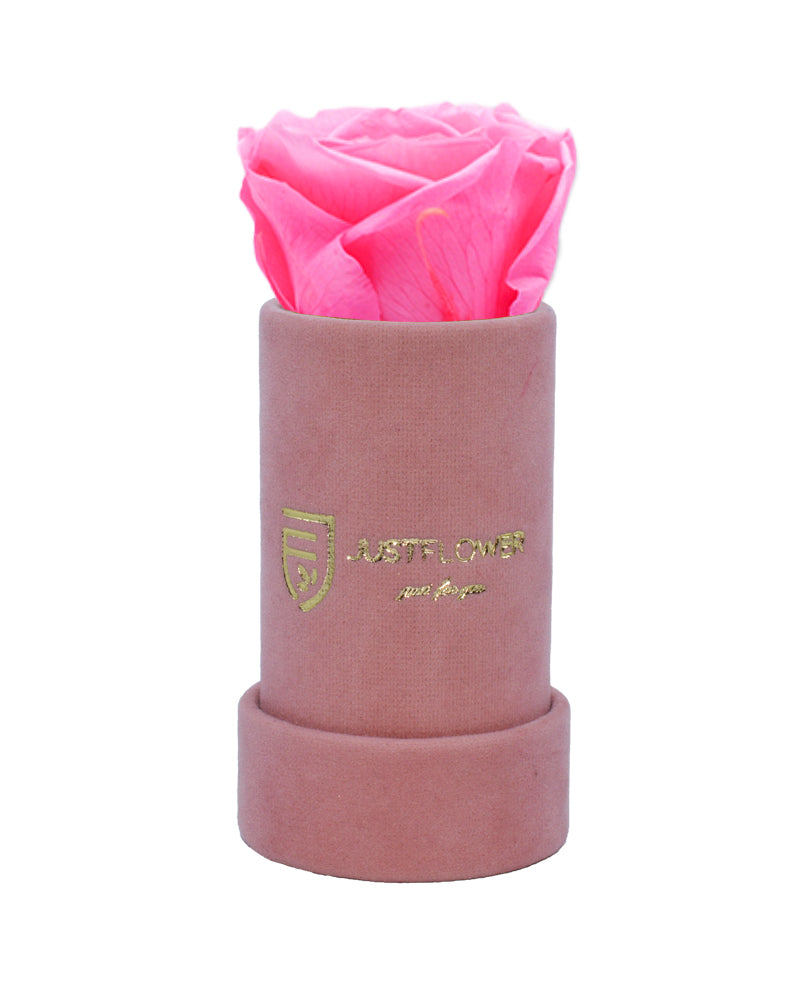 Infinity Rose in exklusiver Box. Bestellen Sie Ihre konservierte Rose bei JustFlower.ch für ein einzigartiges Geschenk.