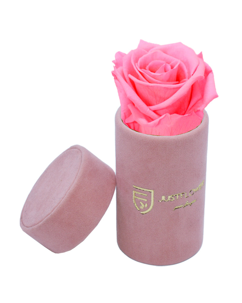 Luxuriöse Box mit einer einzigen Infinity Rose. Bestellen Sie Ihre ewige Rose bei JustFlower.ch und verschönern Sie Ihr Zuhause.