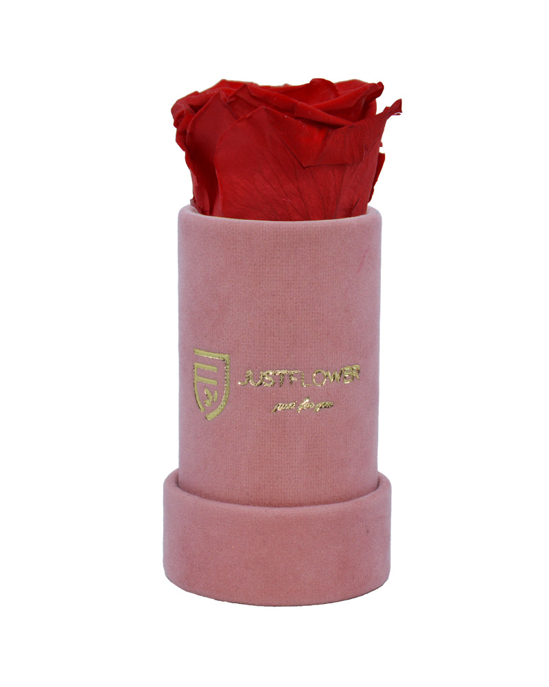 Exklusive Infinity Rose in Rosenbox. Bestellen Sie Ihre konservierte Rose bei JustFlower.ch für eine außergewöhnliche Überraschung.