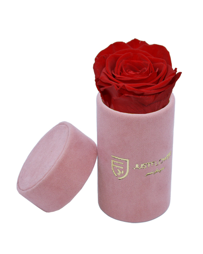 Ewige Rose in einer edlen Box. Bestellen Sie Ihre Infinity Rose bei JustFlower.ch für unvergängliche Schönheit.