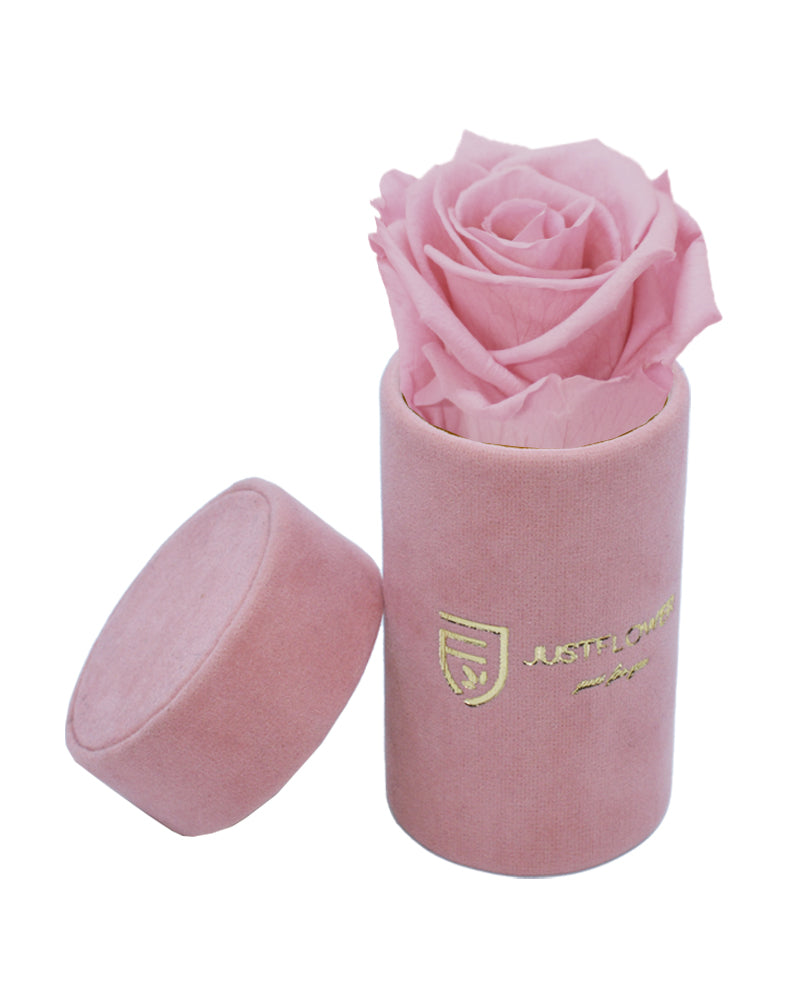Infinity Rose in einer exklusiven Rosenbox. Bestellen Sie Ihre ewige Rose bei JustFlower.ch und genießen Sie elegante Ästhetik.