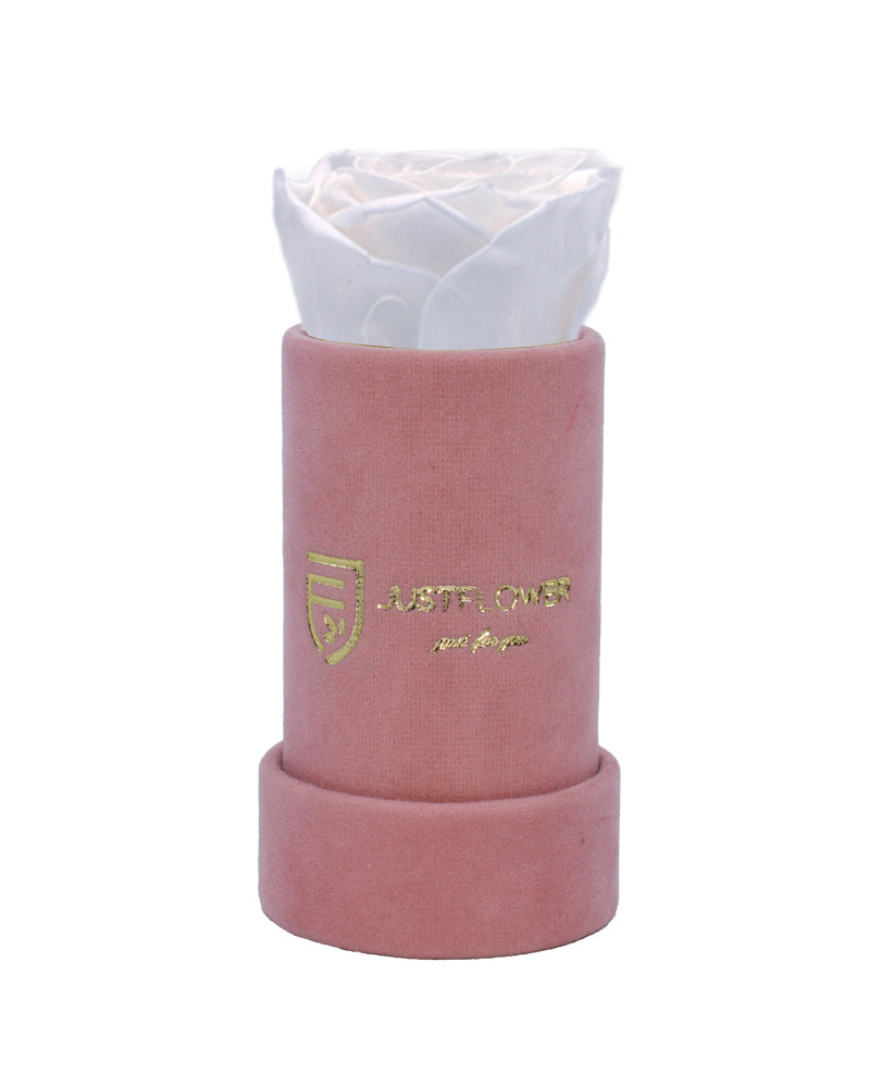 Einzelne Infinity Rose in luxuriöser Box. Bestellen Sie Ihre konservierte Rose bei JustFlower.ch und bereiten Sie eine Überraschung.
