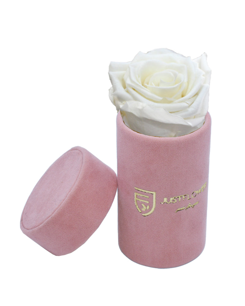 Einzelne Infinity Rose in luxuriöser Box. Bestellen Sie Ihre konservierte Rose bei JustFlower.ch und bereiten Sie eine Überraschung.