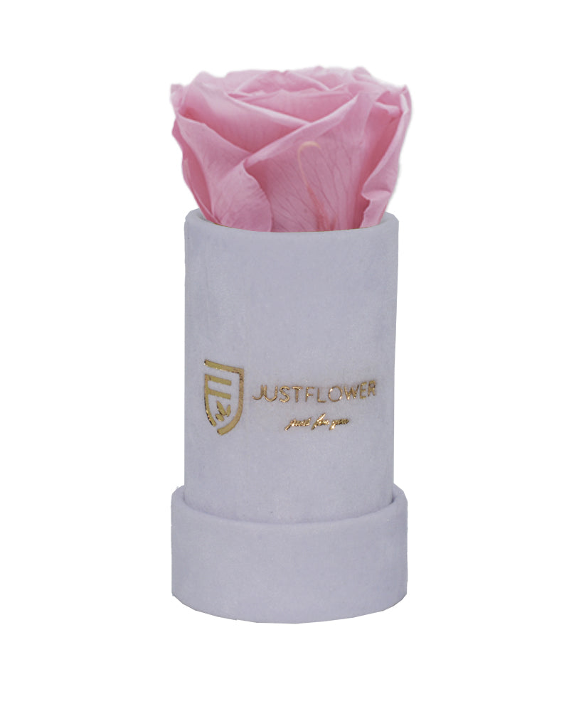 Luxus Infinity Rose in einer edlen Rosenbox. Bestellen Sie bei JustFlower.ch und überraschen Sie jemanden mit einem außergewöhnlichen Geschenk.