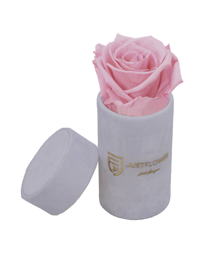 Konservierte Infinity Rose in luxuriöser Rosenbox. Bestellen Sie bei JustFlower.ch und genießen Sie die ewige Schönheit.