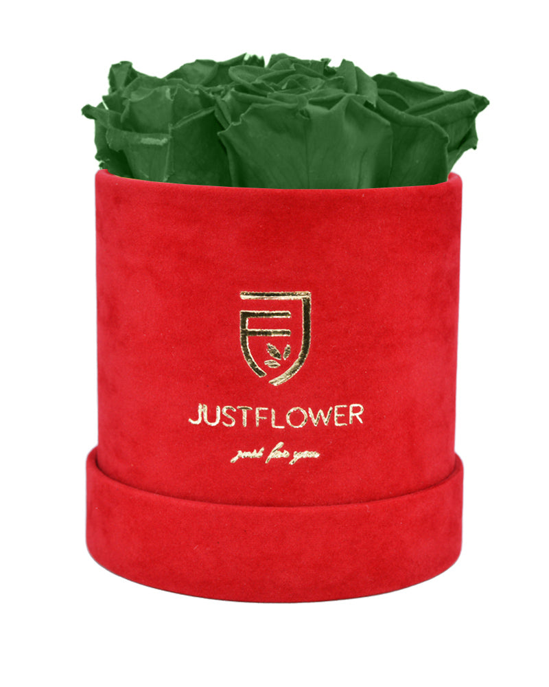 Luxuriöse Rosenbox mit Infinity Rosen, die lange halten. Bestellen Sie Ihre ewige Rosenbox bei JustFlower.ch für ein besonderes Geschenk.