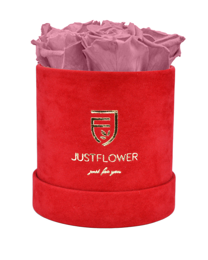 Ewige Rosen in einer luxuriösen Rosenbox. Bestellen Sie Ihre Infinity Rosenbox bei JustFlower.ch und bereiten Sie Ihre Liebsten eine Freude.