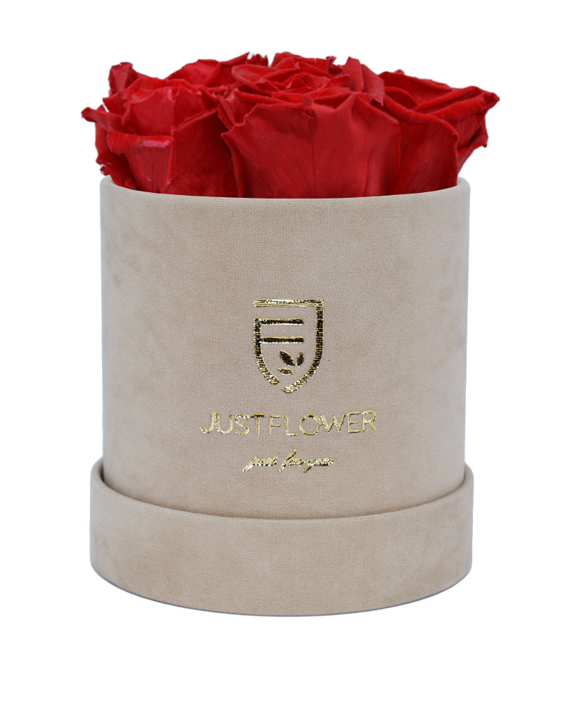 Exklusive Rosenbox mit ewigen Infinity Rosen. Bestellen Sie Ihre konservierte Rosenbox bei JustFlower.ch und bereiten Sie eine besondere Überraschung.