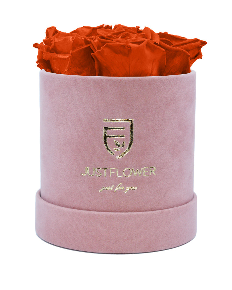 Infinity Rosen in einer stilvollen Rosenbox. Bestellen Sie Ihre ewige Rosenbox bei JustFlower.ch und genießen Sie ihre Eleganz.