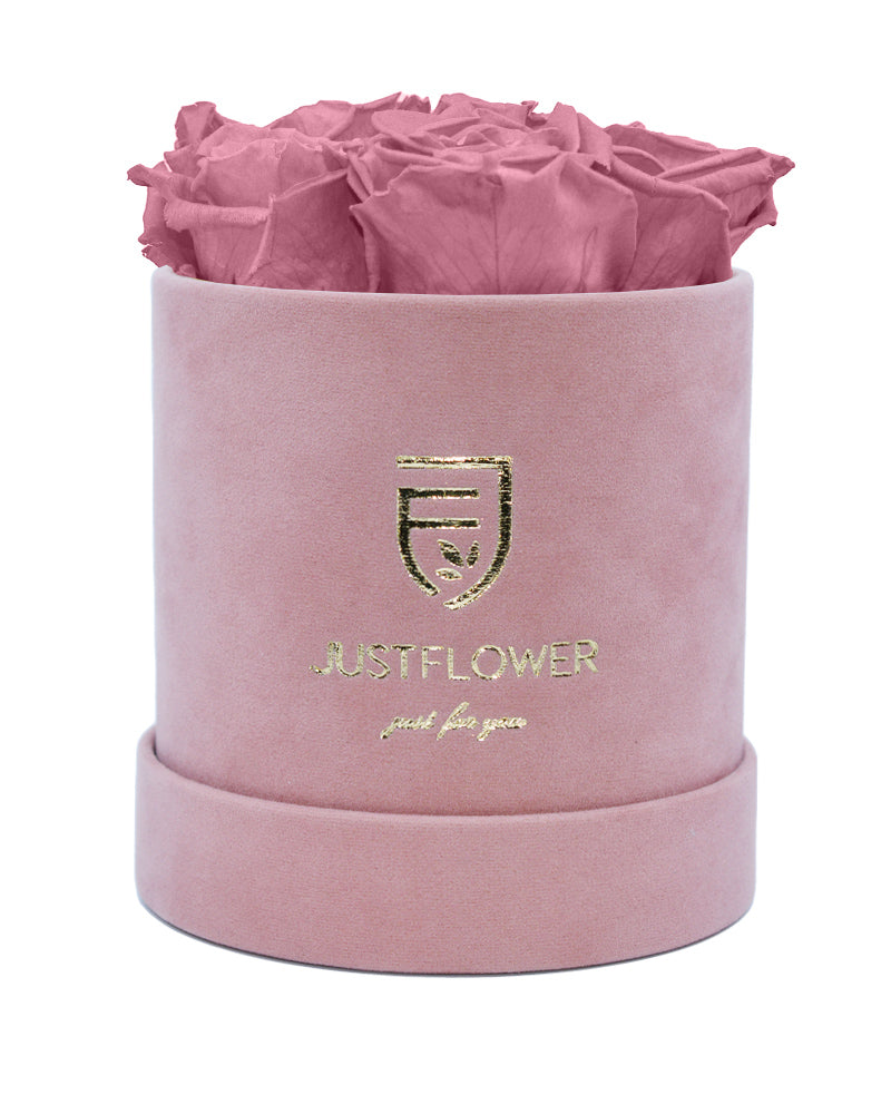 Luxuriöse Rosenbox mit Infinity Rosen. Bestellen Sie Ihre konservierte Rosenbox bei JustFlower.ch und verschenken Sie einen Hauch von Eleganz.
